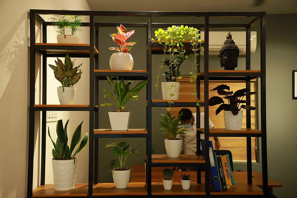 positive working atmosphere